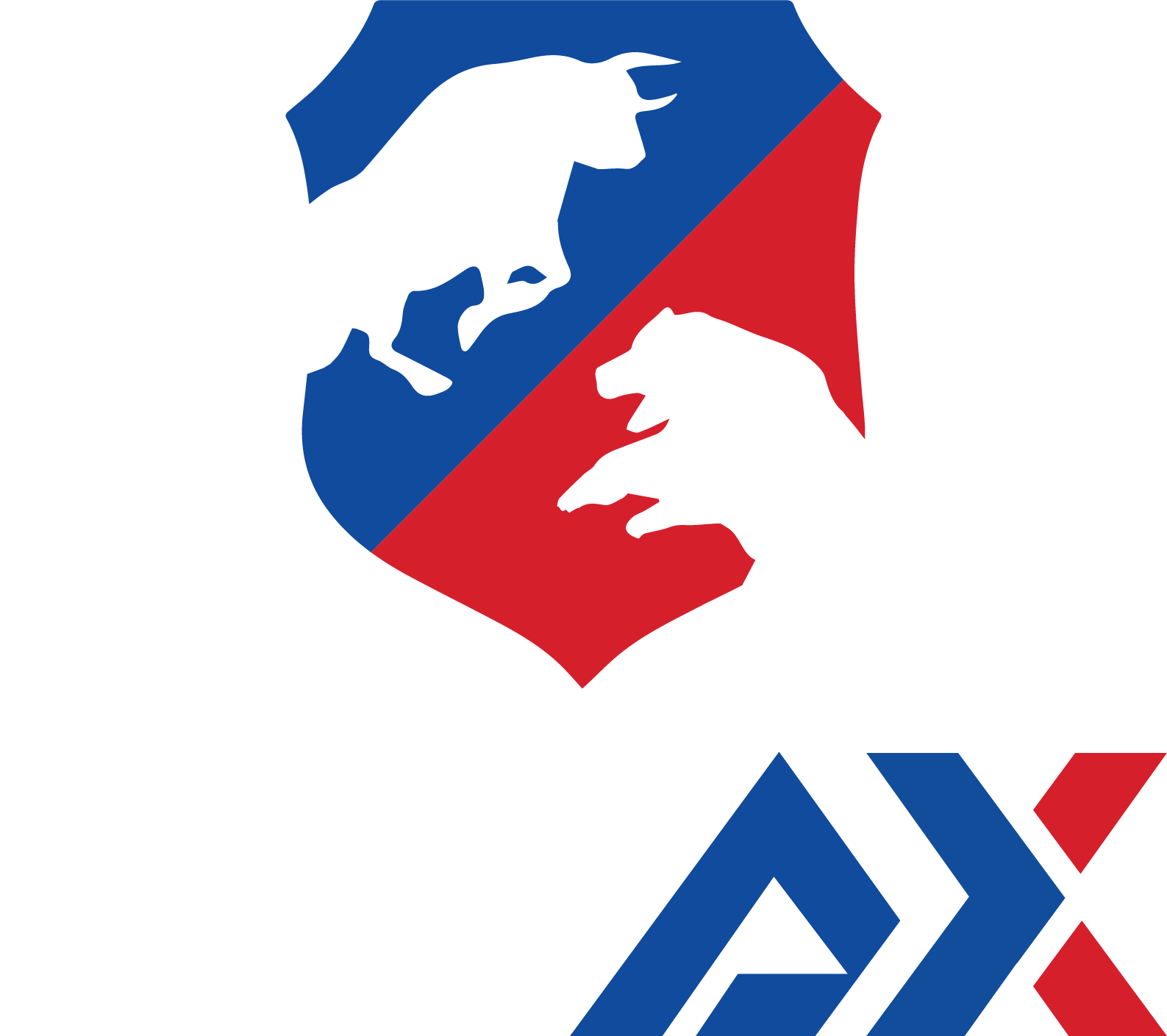 NBAX Logo